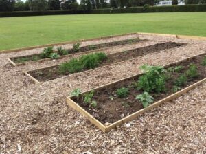 Allotment