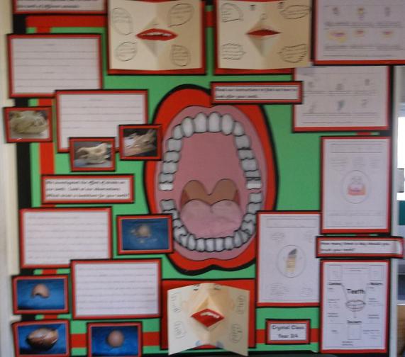 class-display (15)