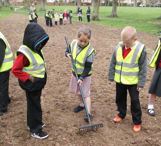 Working in our allotment